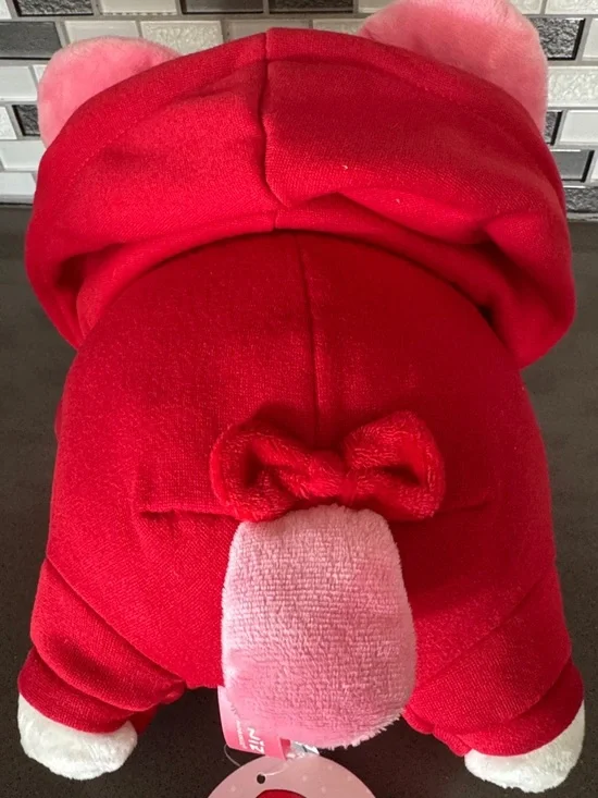 Miniz by Anirollz Kittiroll with Hoodie Plush / Kawaii / Limited Edition 11” NEW - Picture 8 of 16